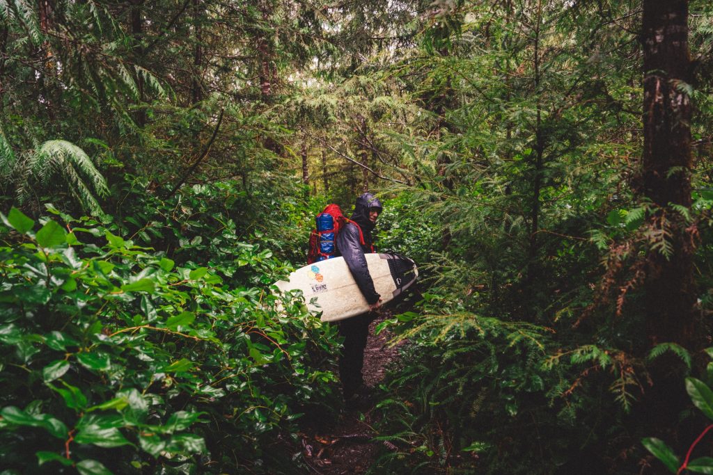 A person holding a surfboard on a trail through an old growth forest