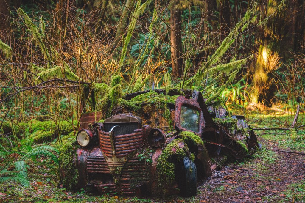 A photo of a rusted out vehicle being taken over by nature