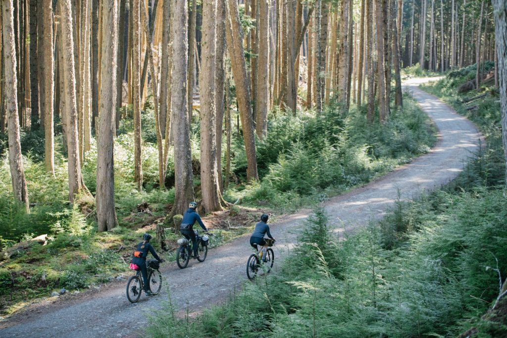 Three cyclists on a back road surrounded by forest